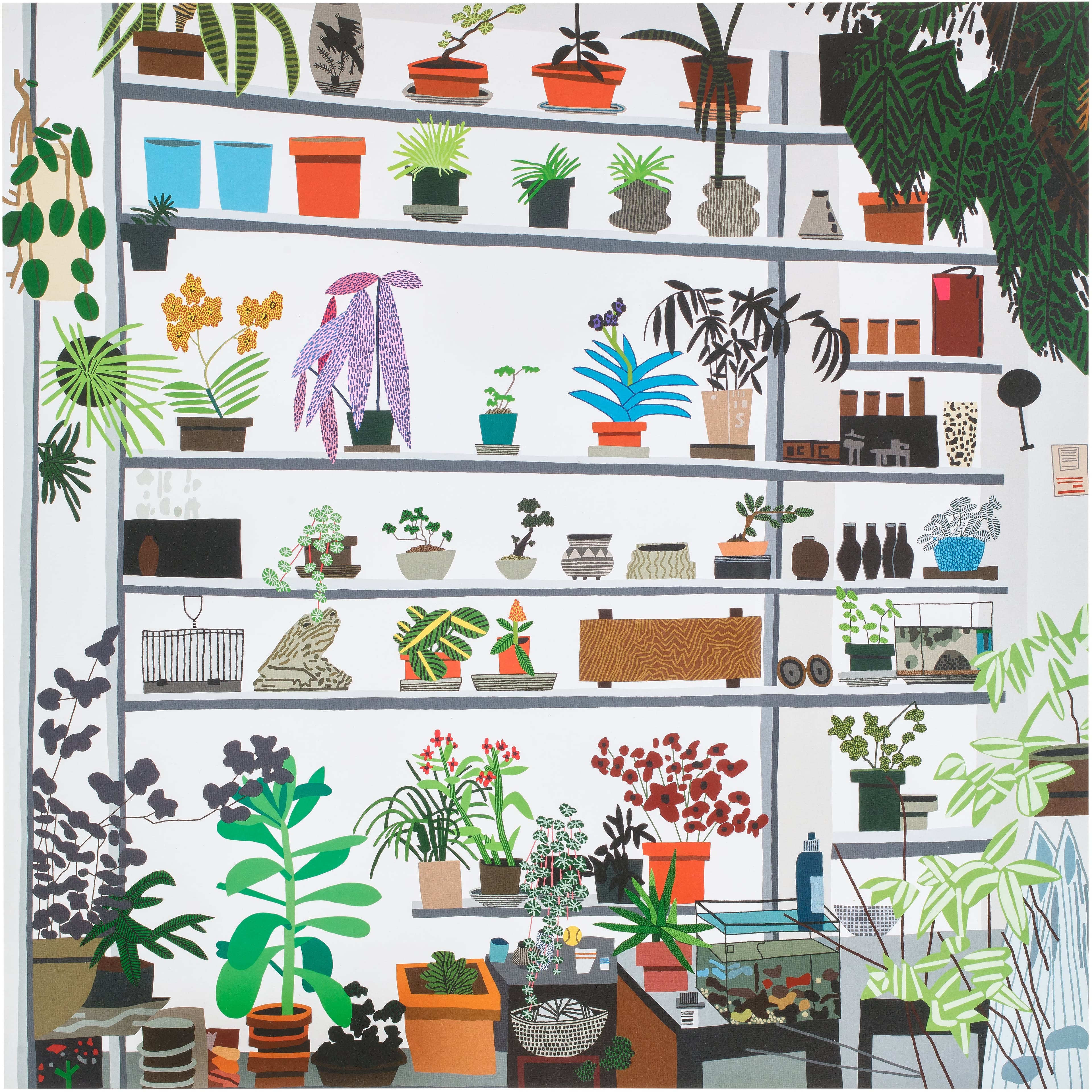 Large Shelf Still Life