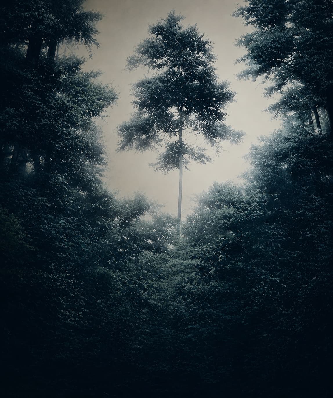 Conditon-light