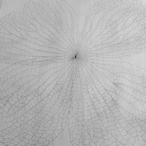 The Leaf