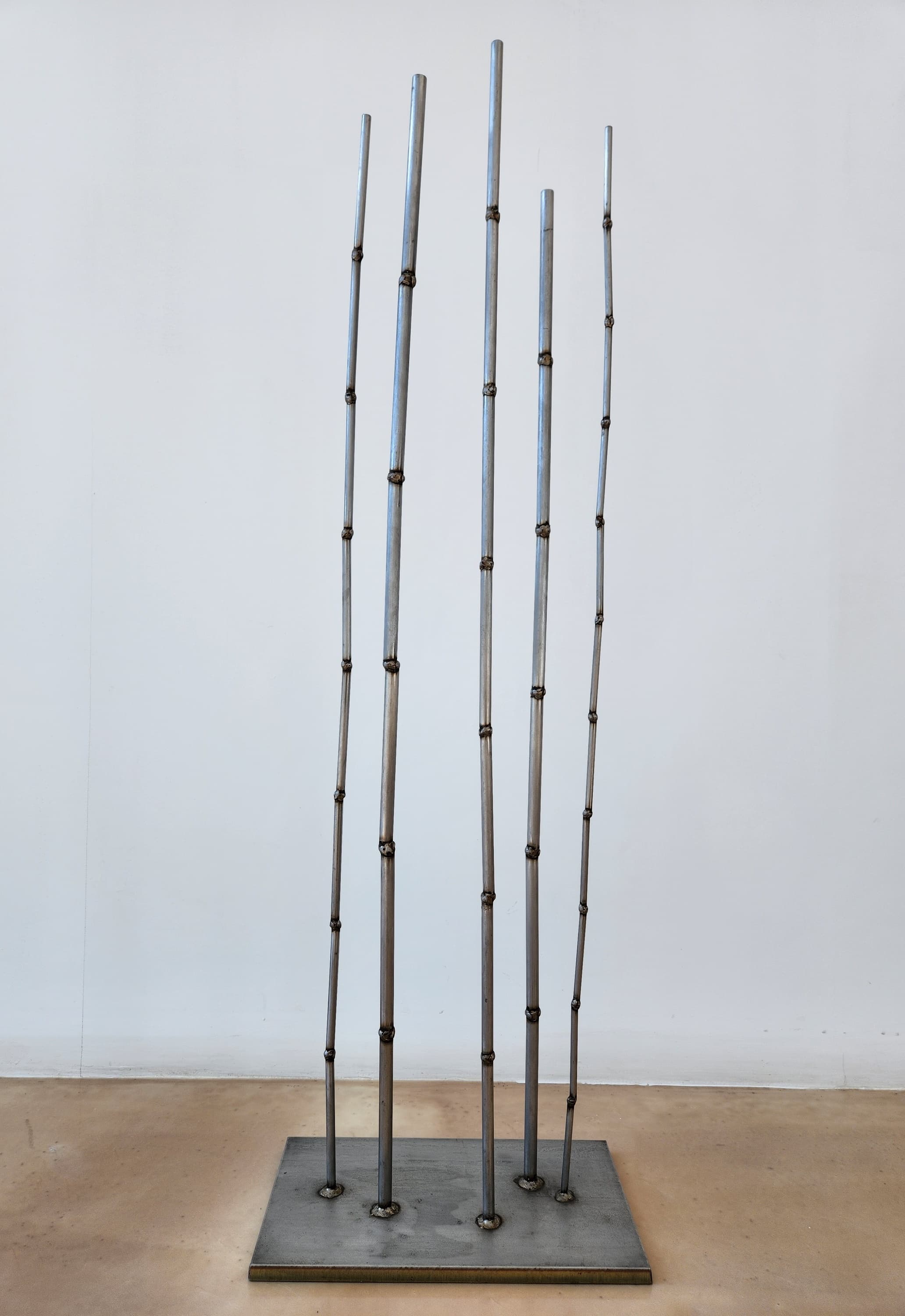 갈대 Reed